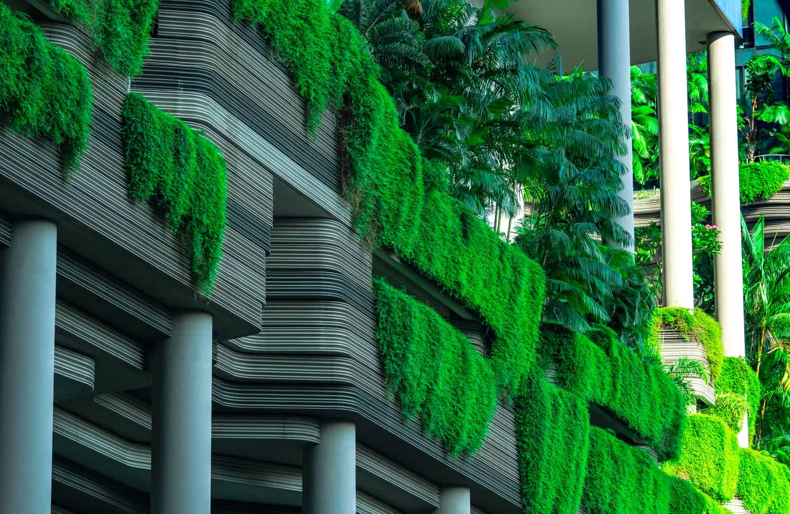 Scholarship Guide SUSTAINABILITY IN SINGAPORE: THE PAST, PRESENT & FUTURE Green Building