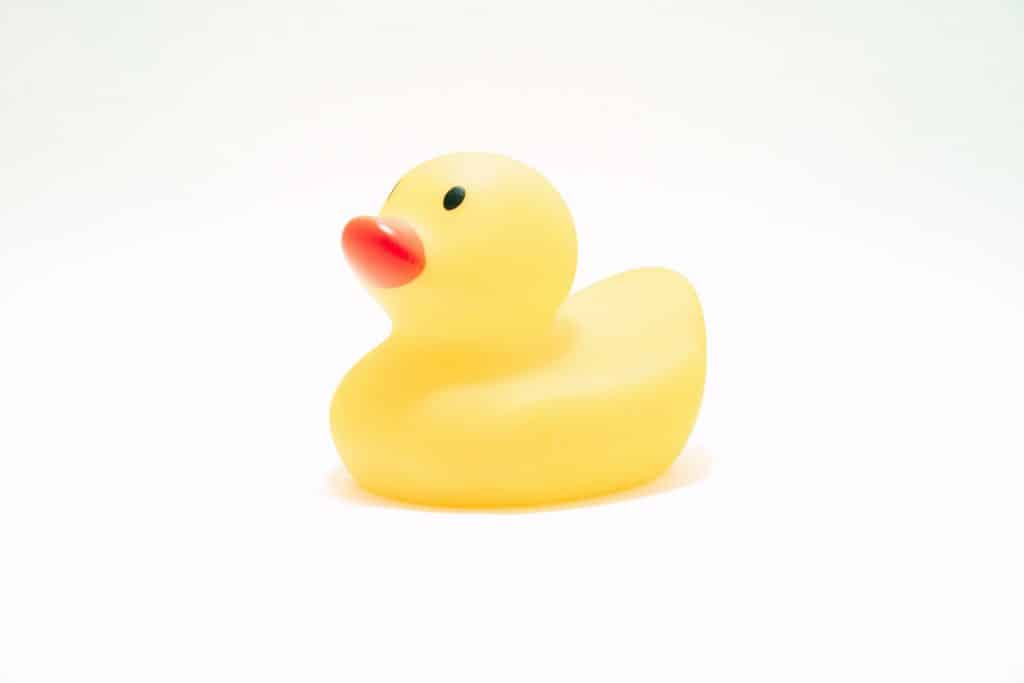 Scholarship Guide The Best Way to Learn Is To Teach Rubber Duck