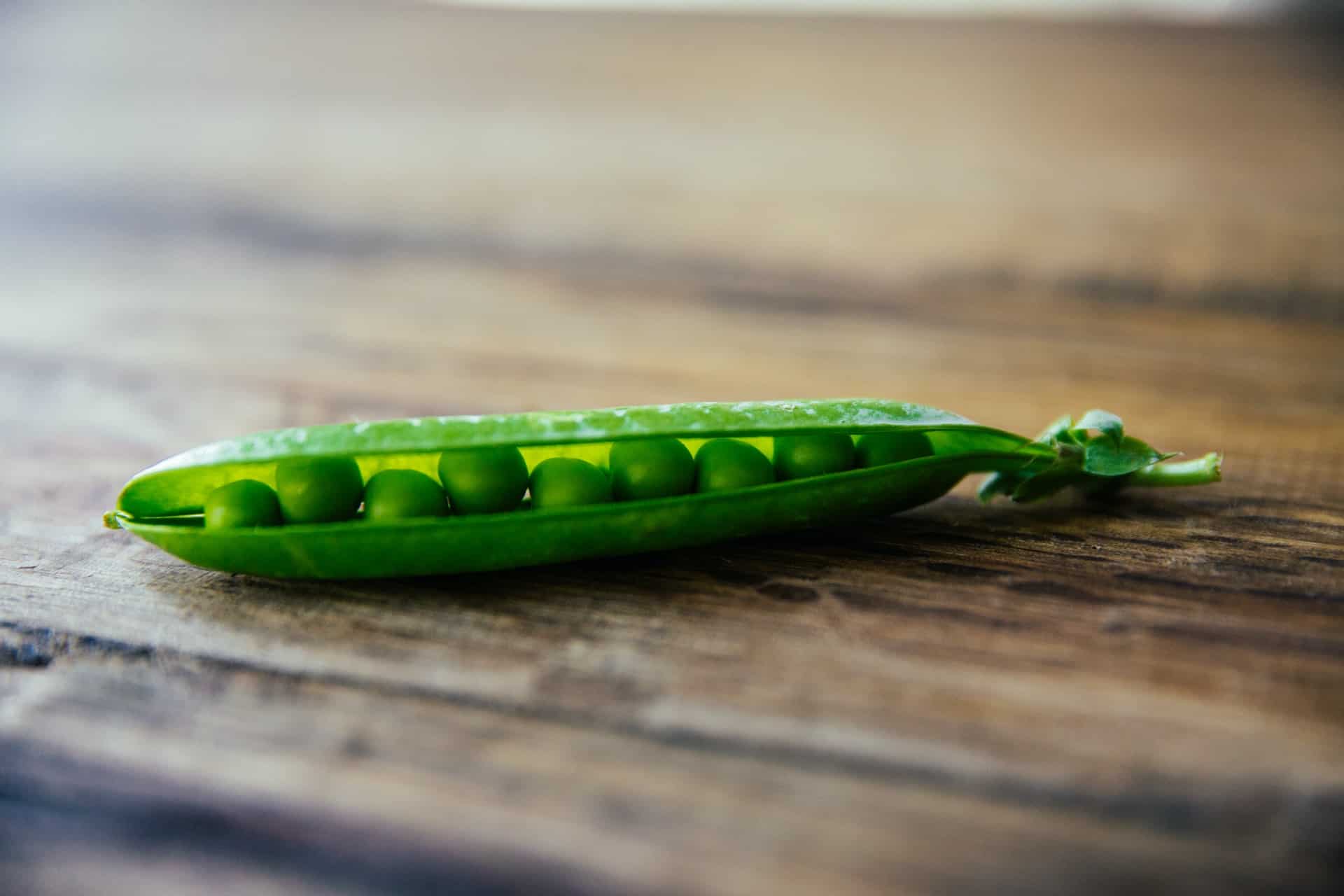 Scholarship Guide The 80/20 Rule For Studying peas in a pod